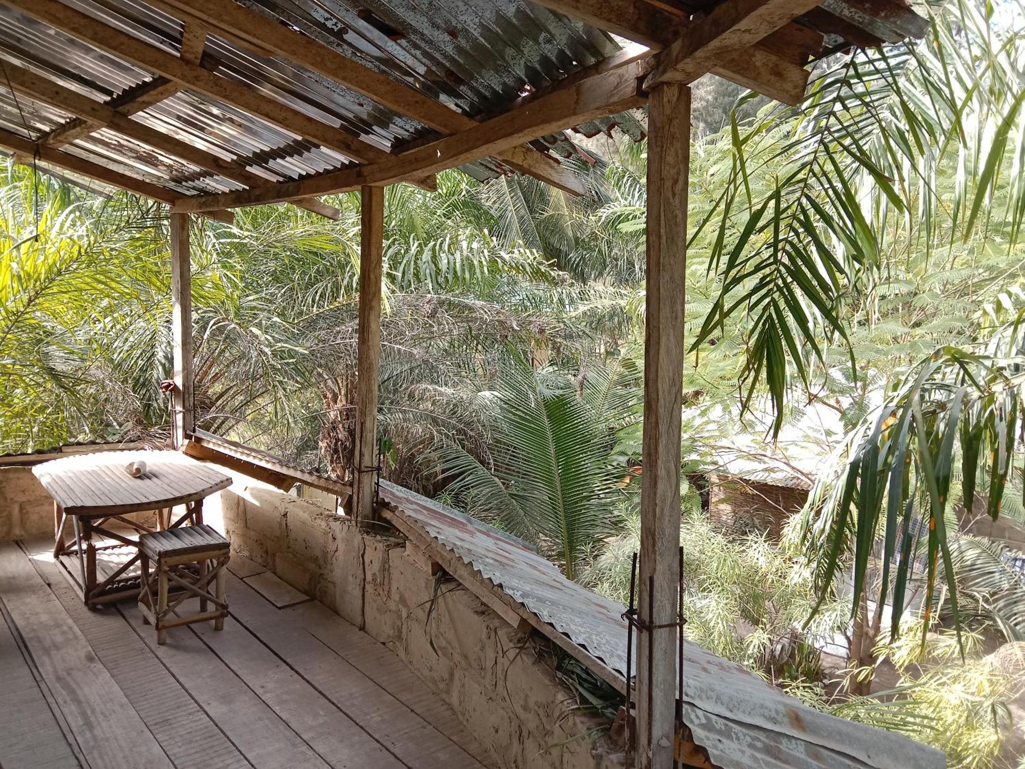 Chez Bethy & Baboulaye Jungle Et Ocean Villa Abeme ภายนอก รูปภาพ