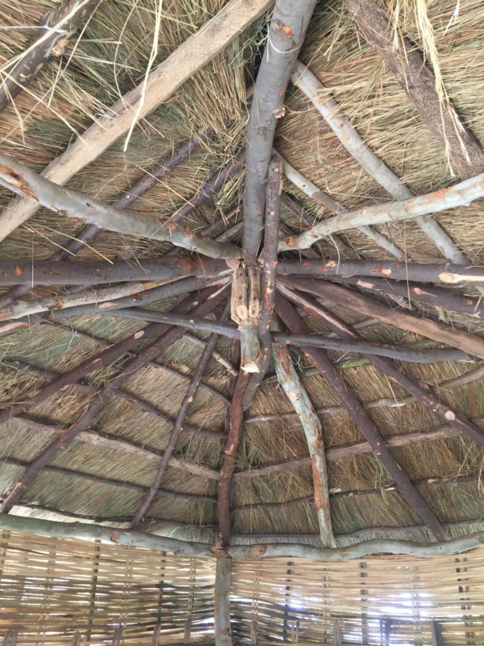 Chez Bethy & Baboulaye Jungle Et Ocean Villa Abeme ภายนอก รูปภาพ
